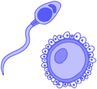 C Lulas Germinales Innovative Genomics Institute Igi