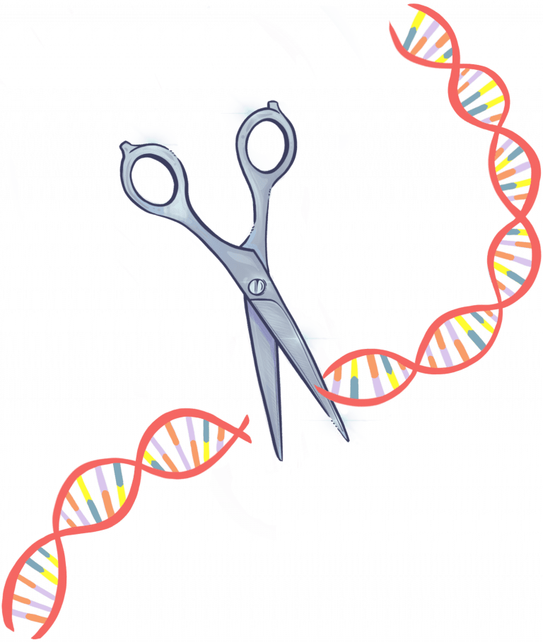 Studying The World With Crispr Crispr Made Simple Igi