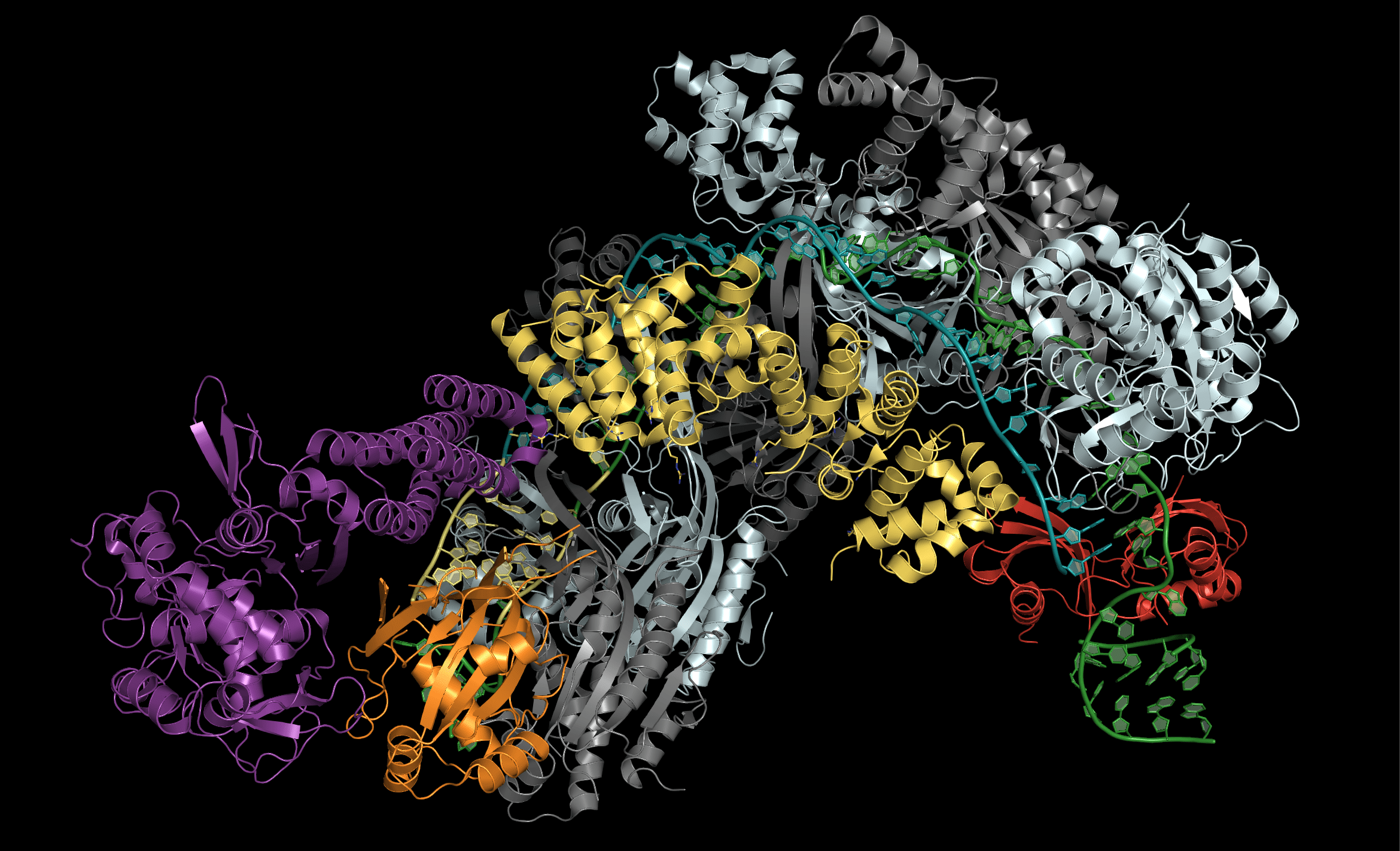 Estructura cristalina del complejo proteico Cascade de E. coli