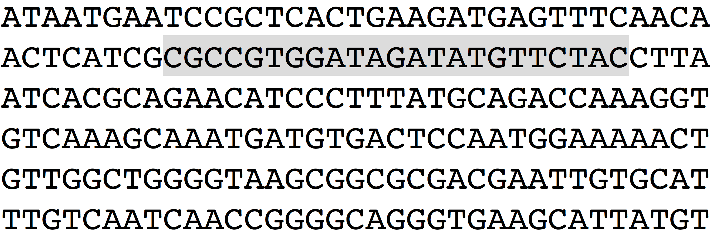 Sequence of DNA letters
