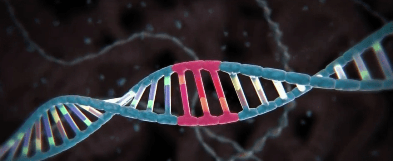 Representación de dibujos animados de una doble hélice de ADN