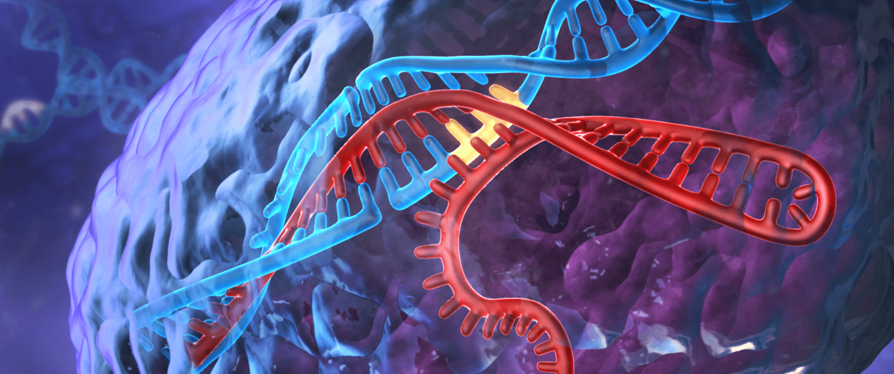 Cartoon depiction of DNA