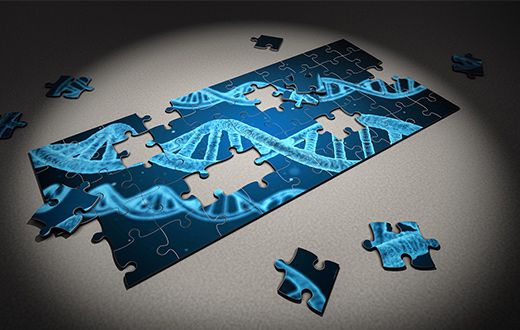 A partially-assembled puzzle featuring an image of DNA