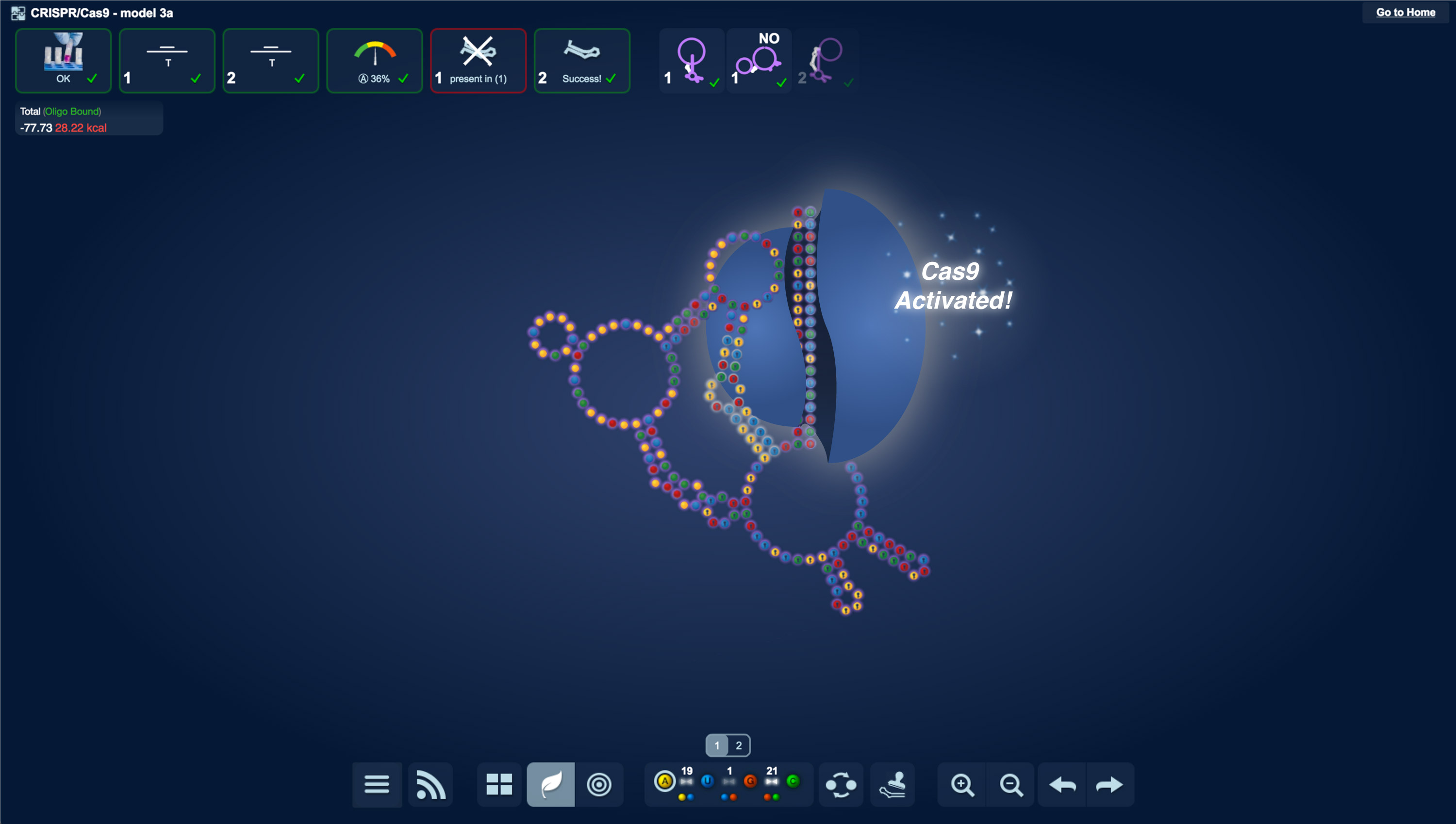 Captura de pantalla del rompecabezas Eterna OpenCRISPR que muestra un diseño de ARN exitoso y la activación de Cas9