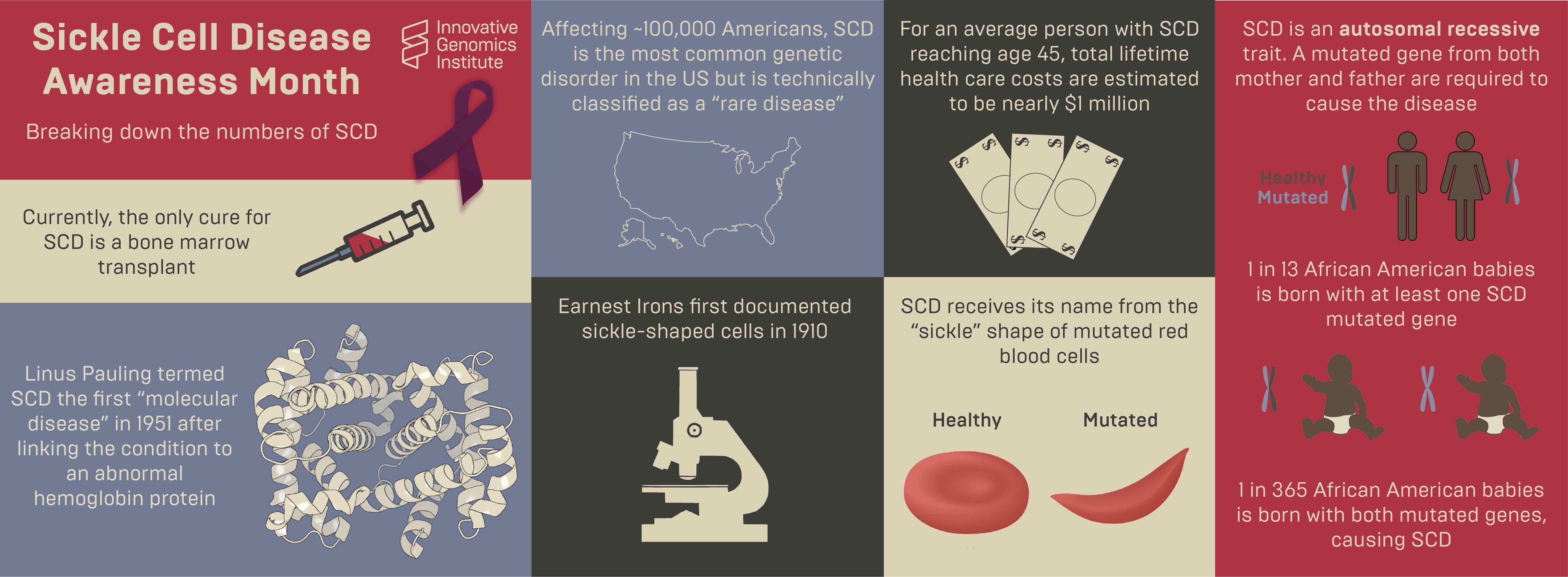 Infografía sobre la anemia de células falciformes, que describe datos básicos y estadísticas