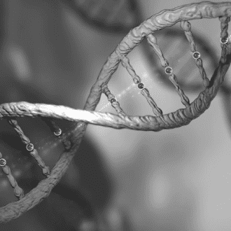 ADN de doble hélice en blanco y negro