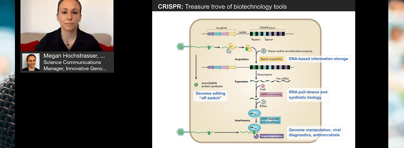 Captura de pantalla de la presentación en línea de Megan Hochstrasser sobre inmunidad y tecnología CRISPR