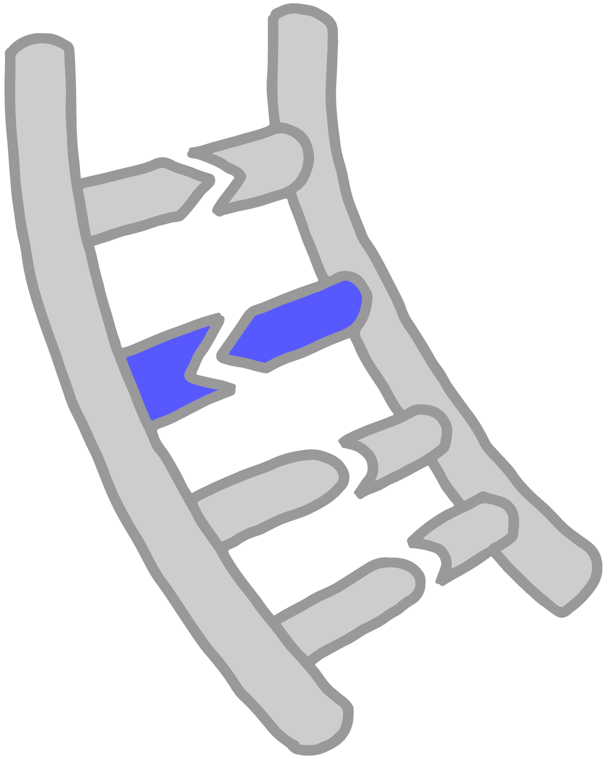 Imagen de bases de ADN azules emparejadas entre sí