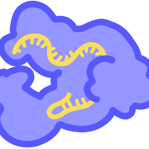 Imagen de protien Cas12 azul con ARN amarillo