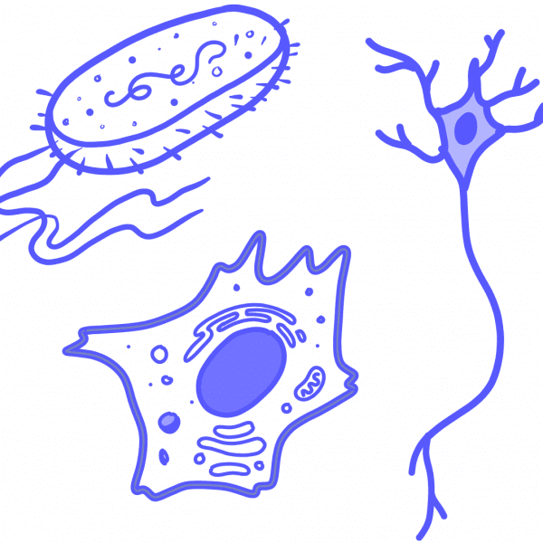 Imagen de diferentes tipos de células coloreadas en azul, incluida una célula somática, una célula nerviosa y una célula bacteriana.