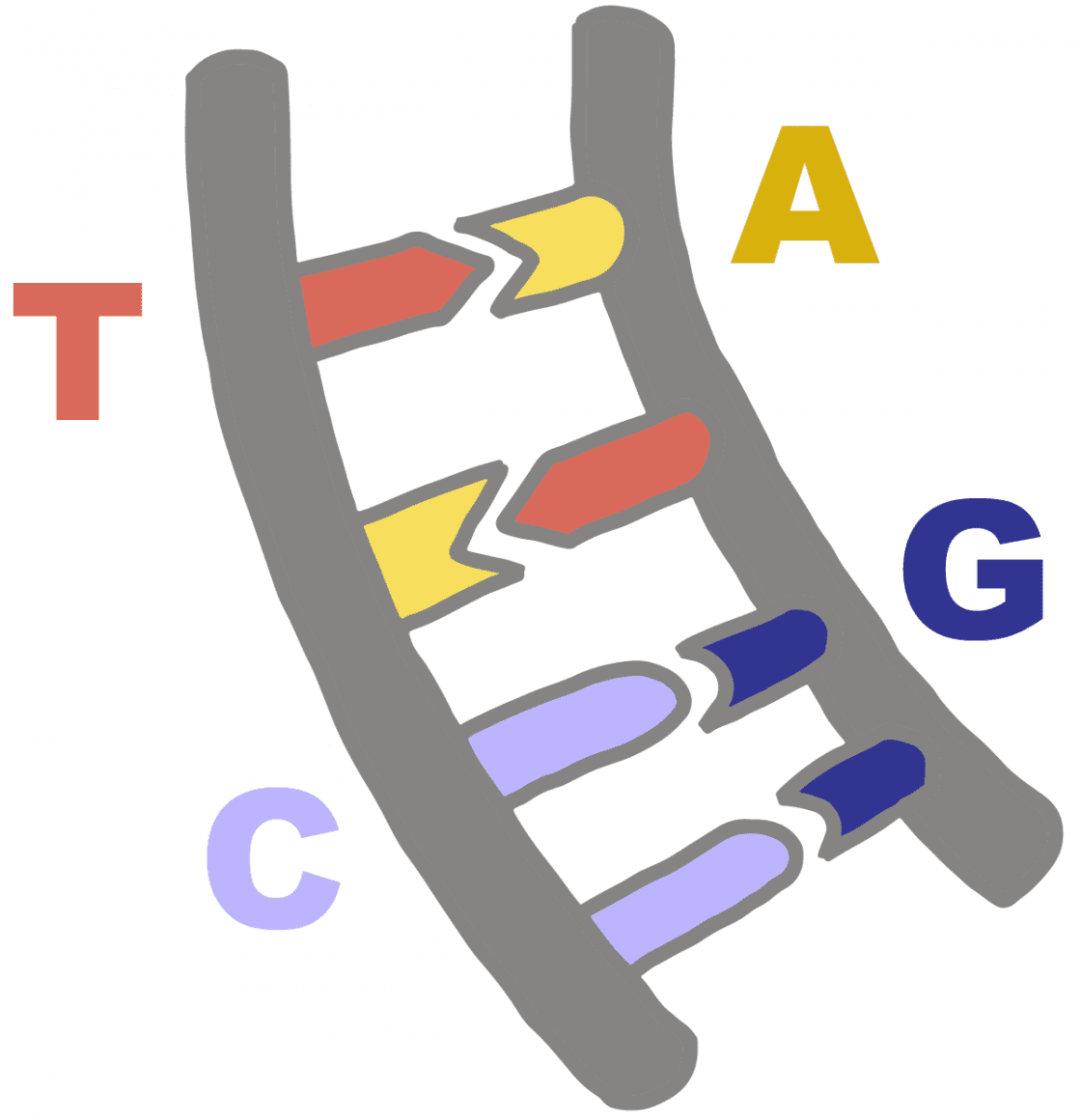 complementary-innovative-genomics-institute-igi