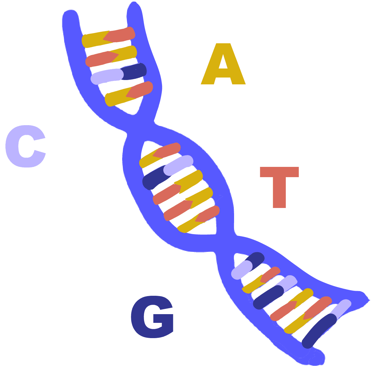 带有碱基对腺嘌呤、胸腺嘧啶、胞嘧啶和鸟嘌呤的蓝色 DNA 螺旋图像