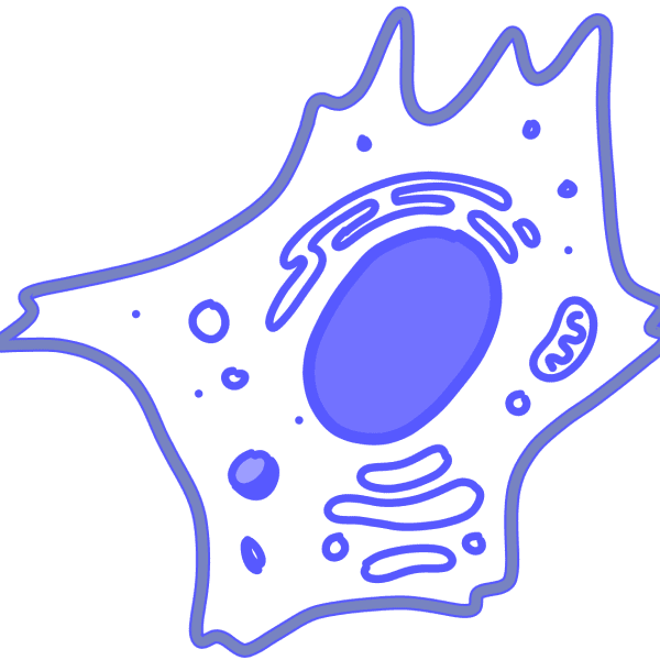 Image of a blue eukaryotic cell