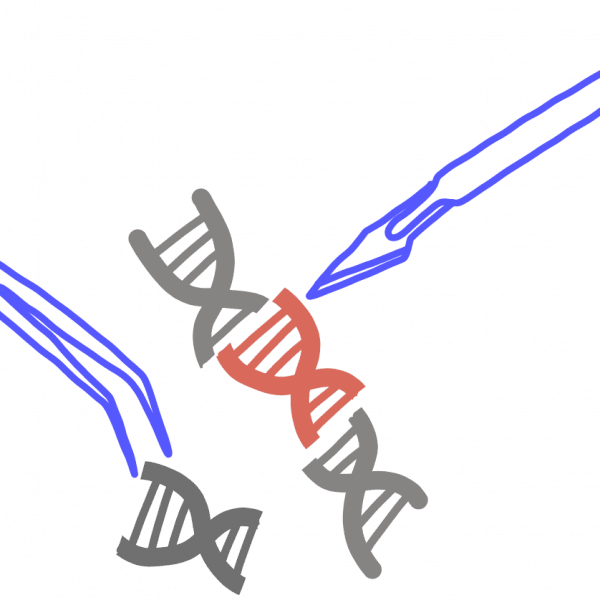 手术刀和镊子用红色 DNA 片段替换 DNA 部分的图像。