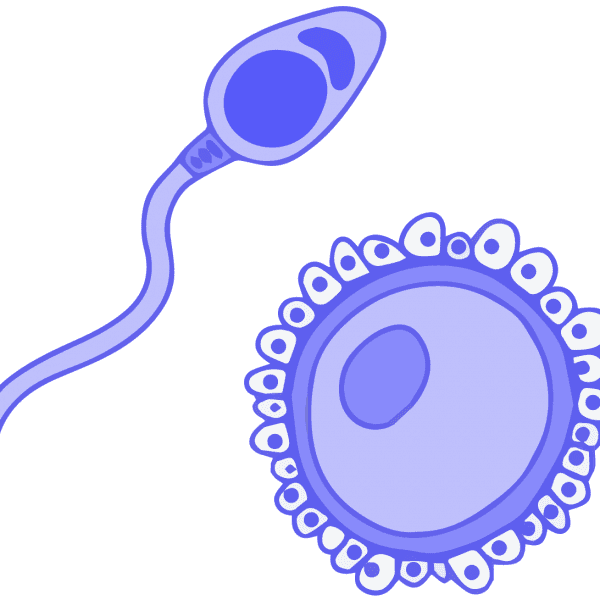 蓝色生殖细胞、精子和卵子的图像