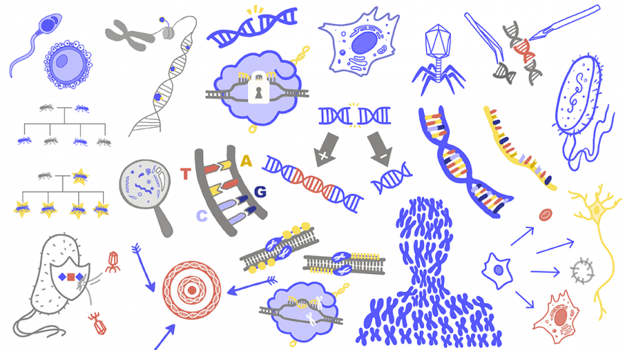 Innovative Genomics Institute (IGI)