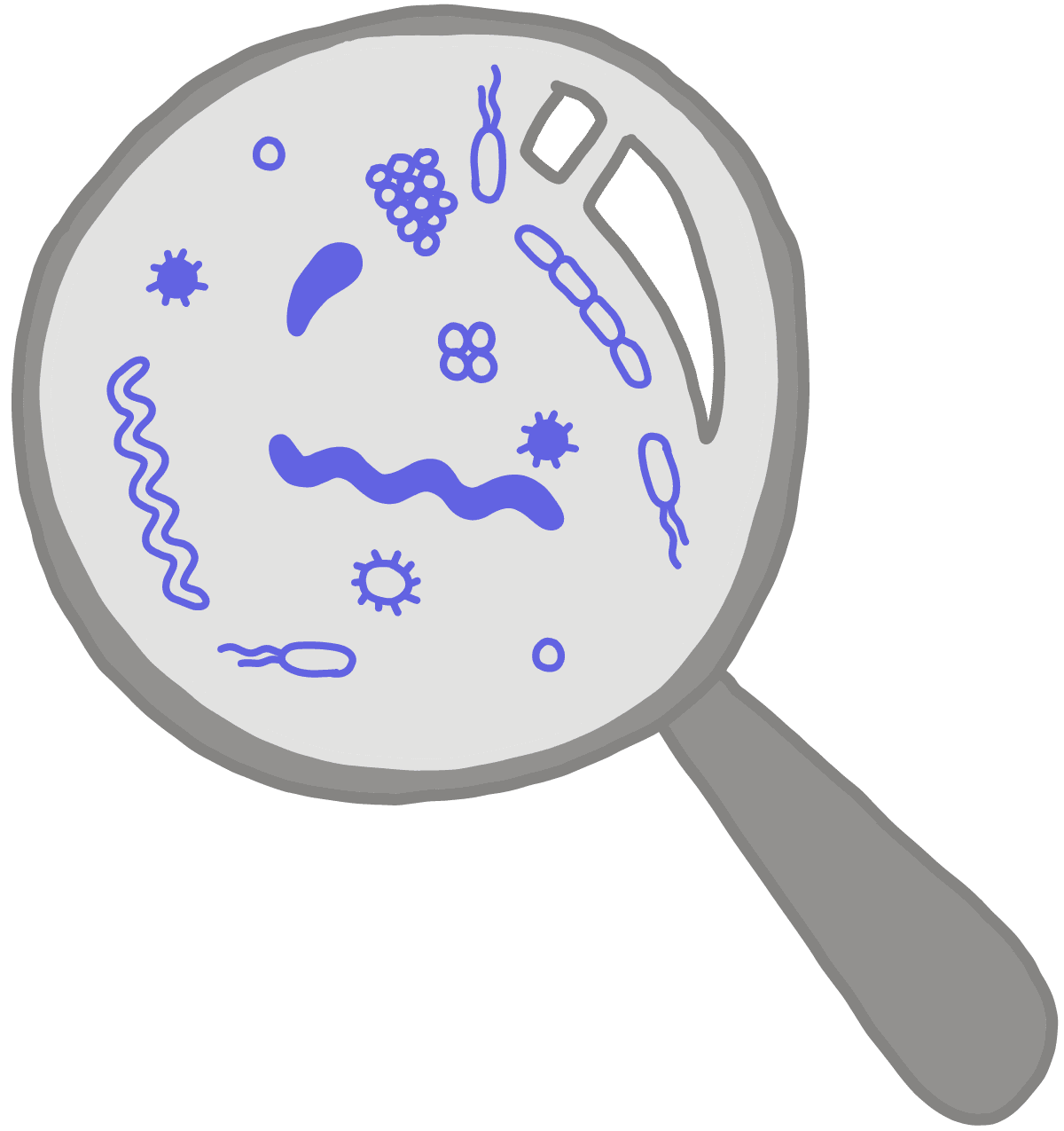 Image of a magnifying glass enlarging an image of blue microbes