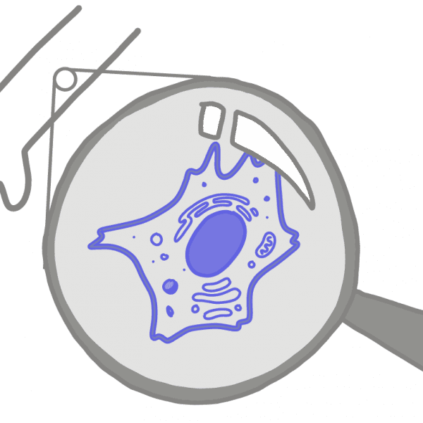 Imagen de una célula somática azul bajo una lupa. La célula somática se amplía desde un brazo.