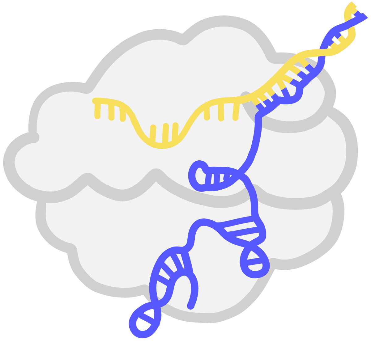 Image of a guide RNA in a protein.