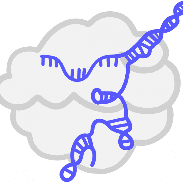Image of a blue single guide RNA