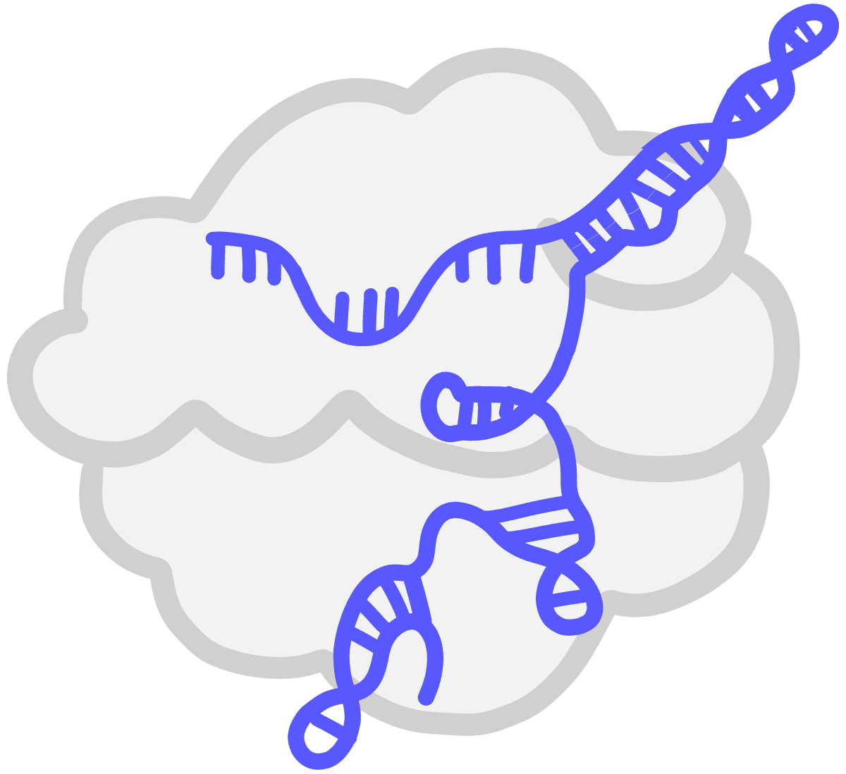 Imagen de un ARN guía único azul