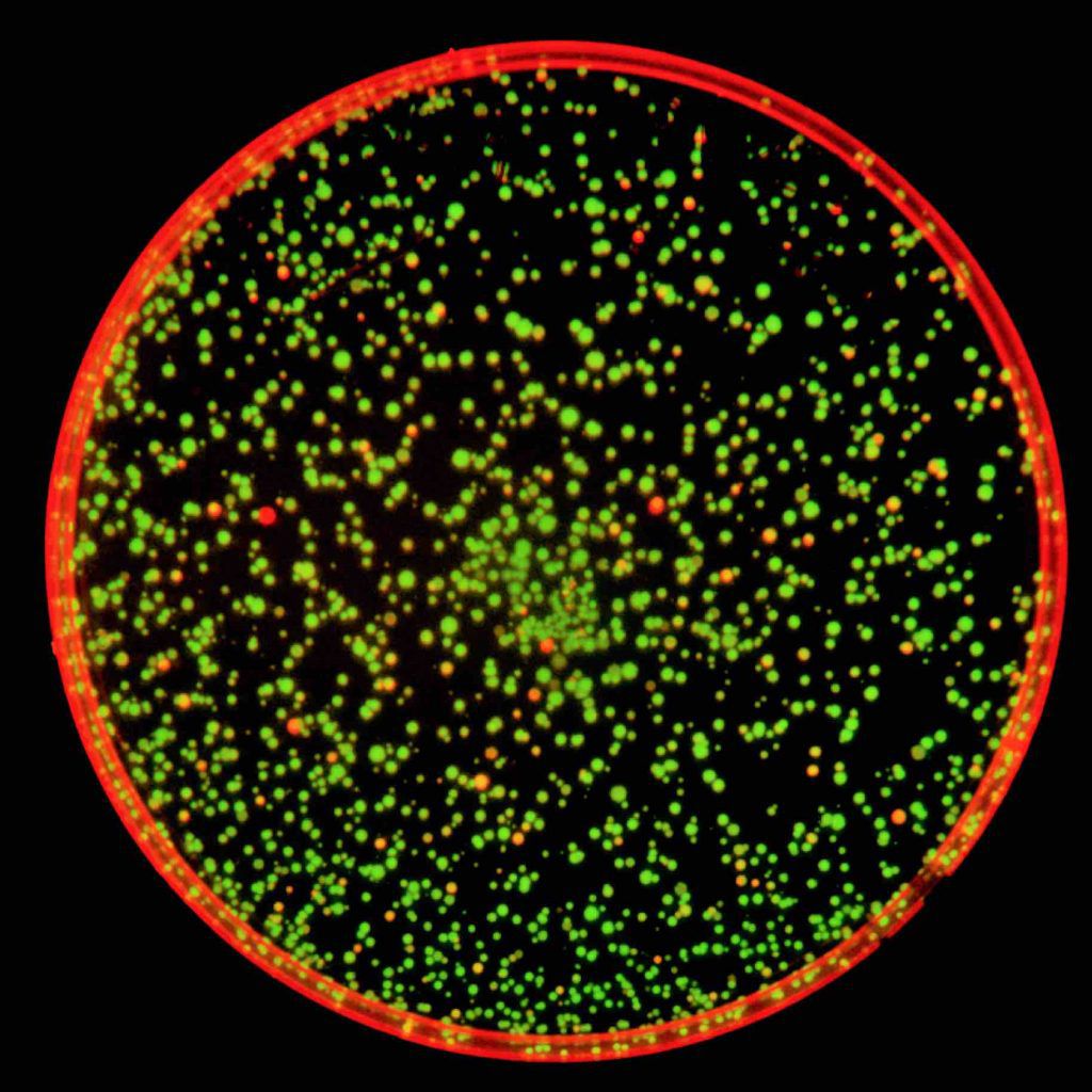 Many green dots within a large red circle