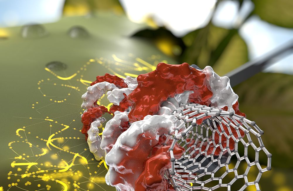 Representación artística de un nanotubo de carbono que lleva ADN a una planta.
