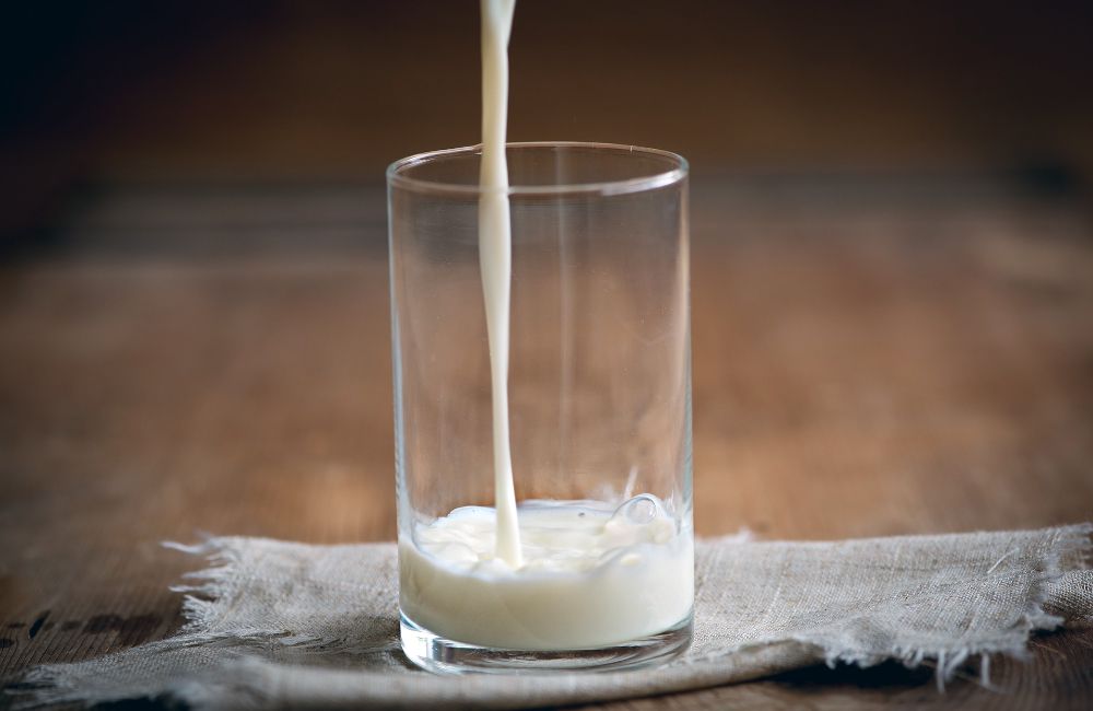 Se vierte la leche en un vaso