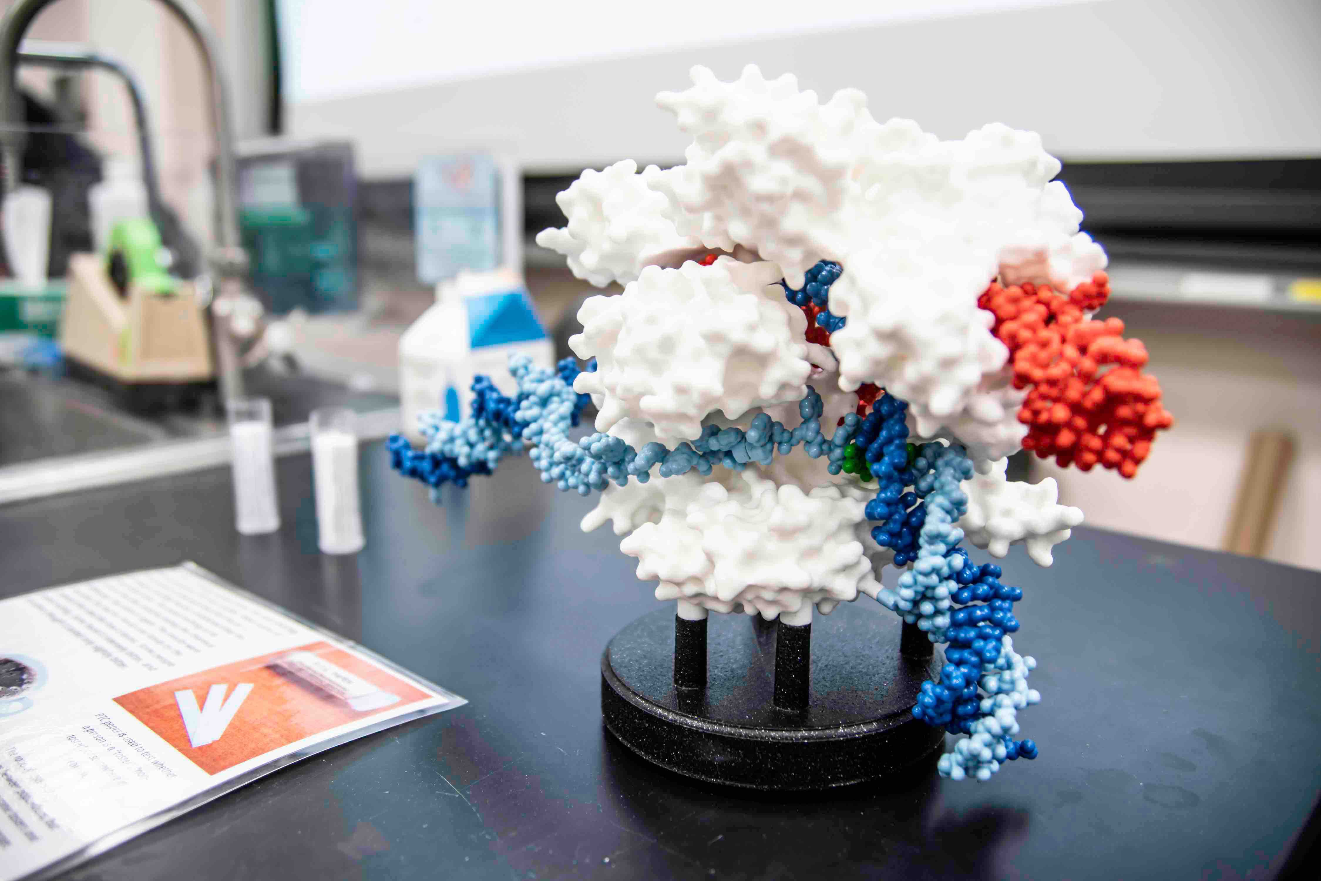 Modelo impreso en 3D de Cas9 unido a ARN y ADN