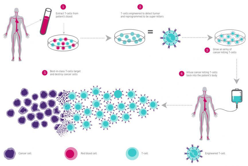 CRISPR Clinical Trials: A 2022 Update - Innovative Genomics Institute (IGI)