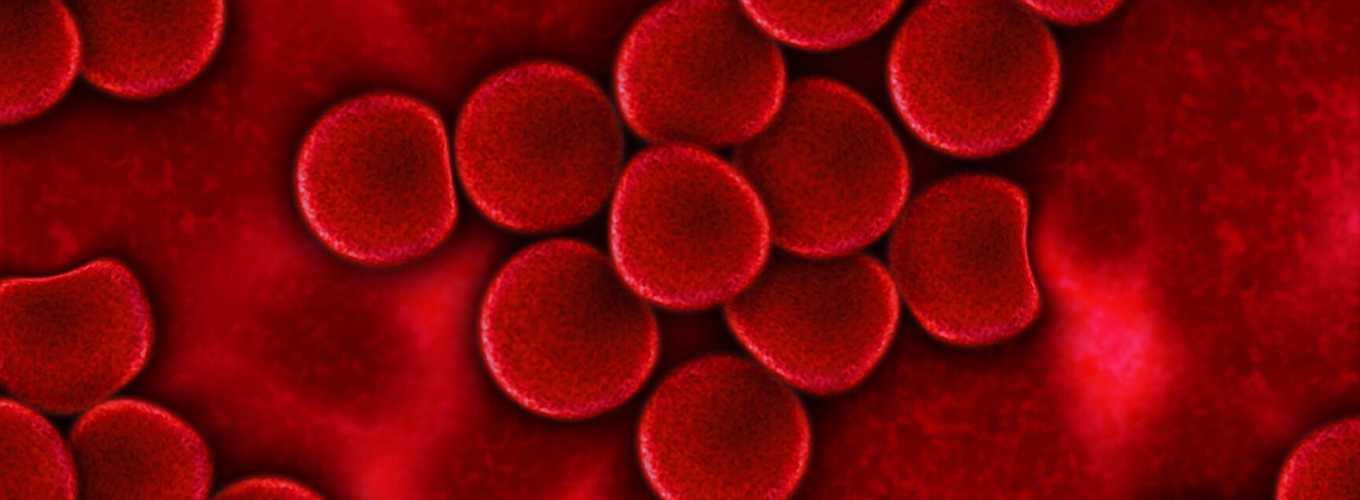 micrografia de glóbulos rojos