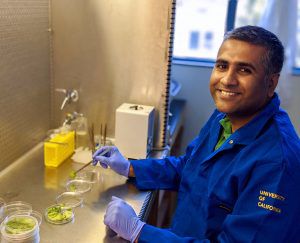 Srinidhi Holalu trabajando con muestras de plantas en el laboratorio