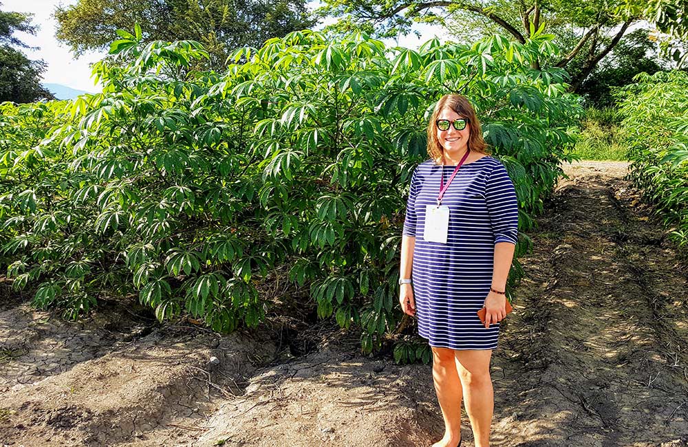 Jessica Lyons researches cassava genome editing to remove cyanide