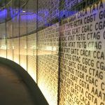 Visualización de la secuencia de ADN en el Museo de Ciencias de Londres