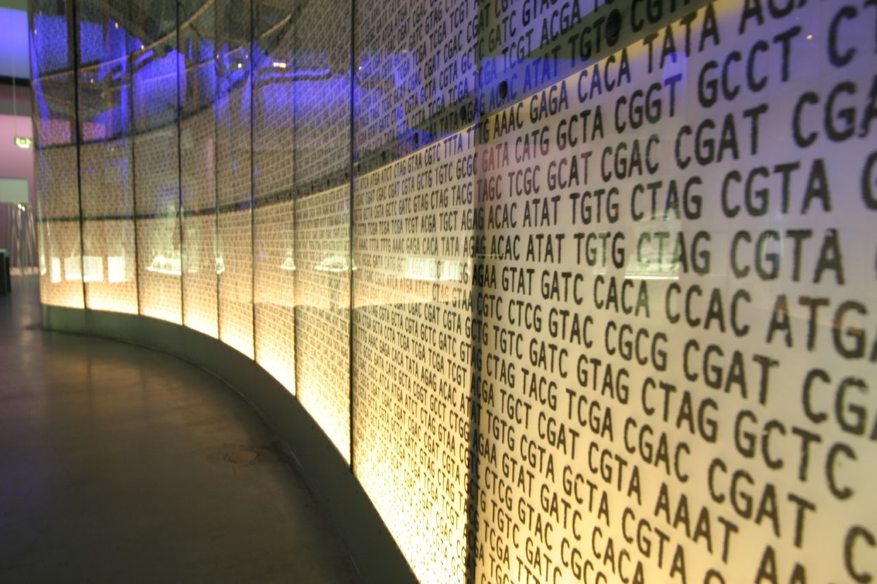 Visualización de la secuencia de ADN en el Museo de Ciencias de Londres