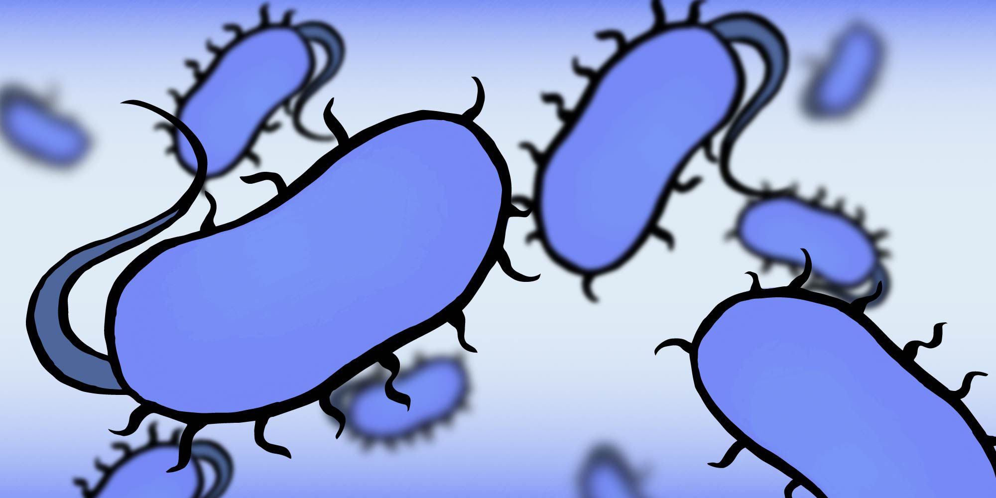 Artistic rendering of E. coli