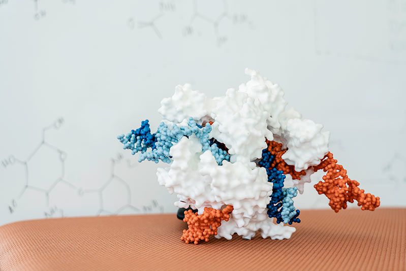 Modelo de molécula CRISPR-Cas9
