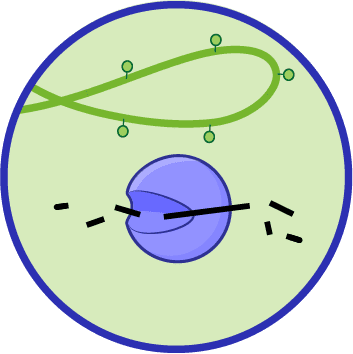 CRISPR in Nature - CRISPRpedia