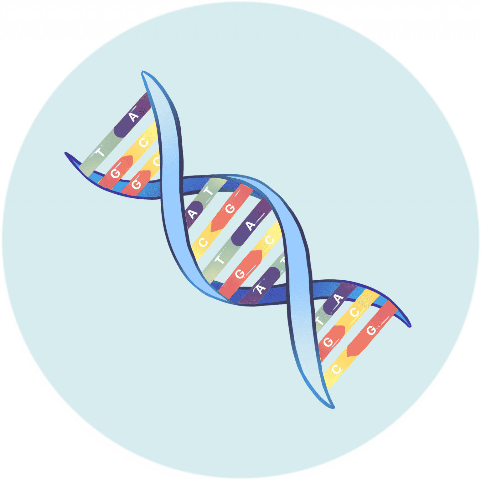 Crispr Made Simple Genes And Dna Innovative Genomics Institute