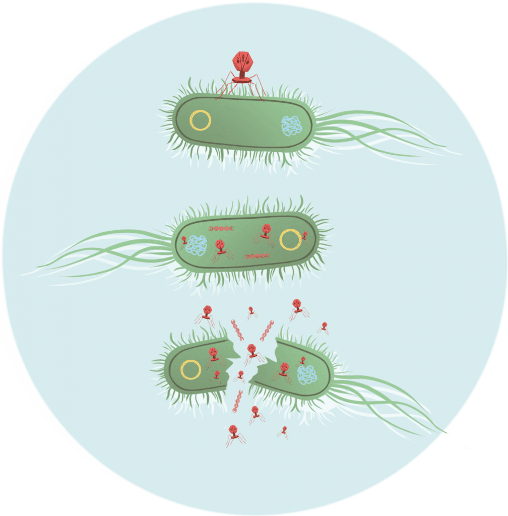 What Is CRISPR? - CRISPR Made Simple - IGI