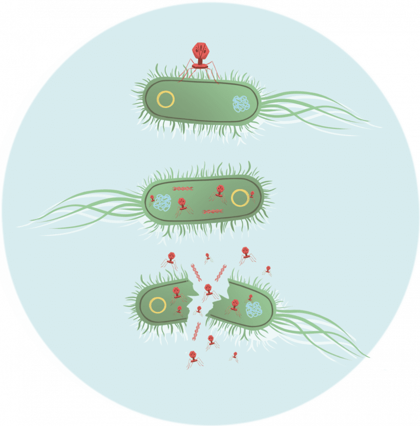 What Is Crispr? - Crispr Made Simple - Igi