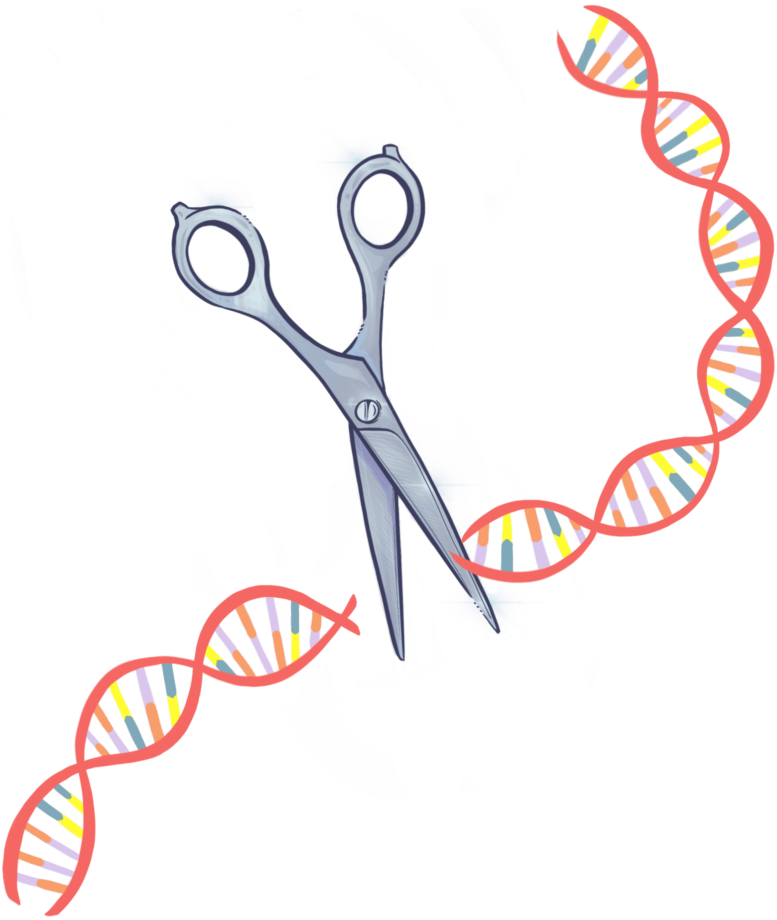 Illustration of scissors cutting DNA