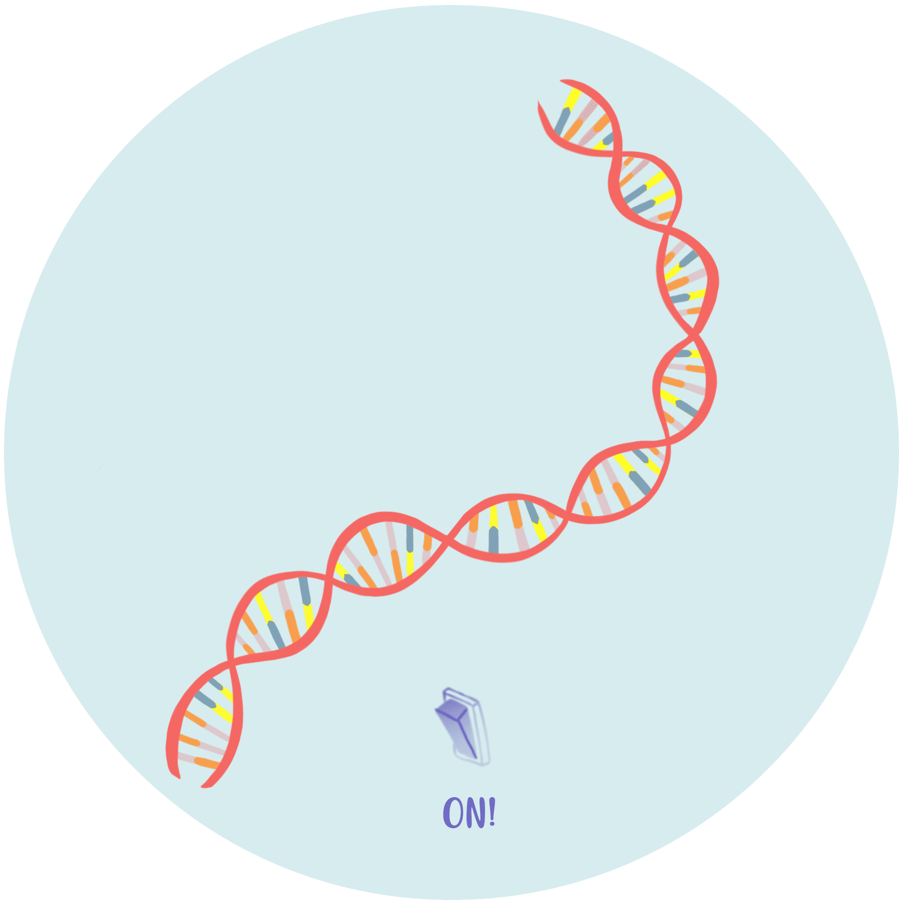 Ilustración de ADN con un interruptor de luz que dice "¡ENCENDIDO!"