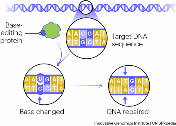 CRISPR Technology - CRISPRpedia