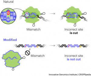 CRISPR Technology - CRISPRpedia