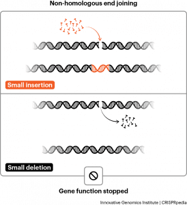 CRISPR Technology - CRISPRpedia