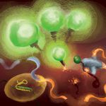 illustration shows RNA being cut by CRISPR enzymes and bright green light emitted