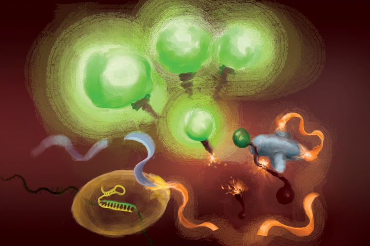 illustration shows RNA being cut by CRISPR enzymes and bright green light emitted
