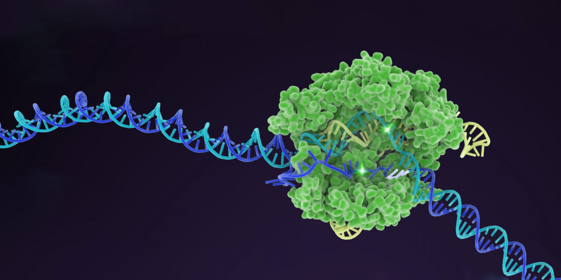 CRISPR, Genome Editing, And Human Health - Innovative Genomics ...