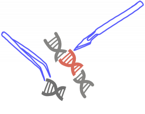 Imagen de un bisturí y unas pinzas reemplazando una sección de ADN con un fragmento de ADN rojo.